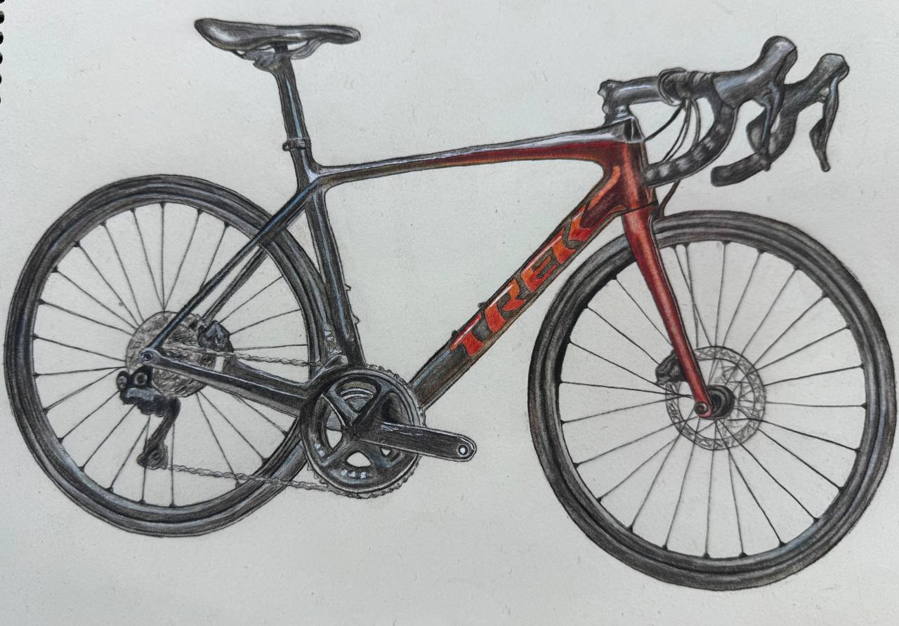 آموزش نقاشی سیاه قلم ساناز بلخی